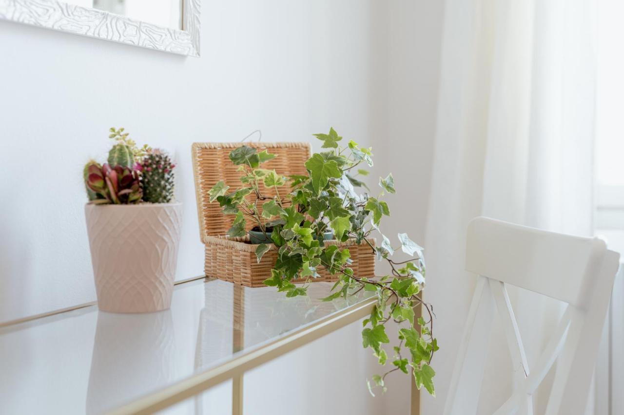 San Leonardo Apartment ルッカ エクステリア 写真